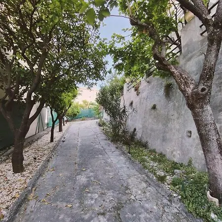 Apartamento En Avec Jardin Nice